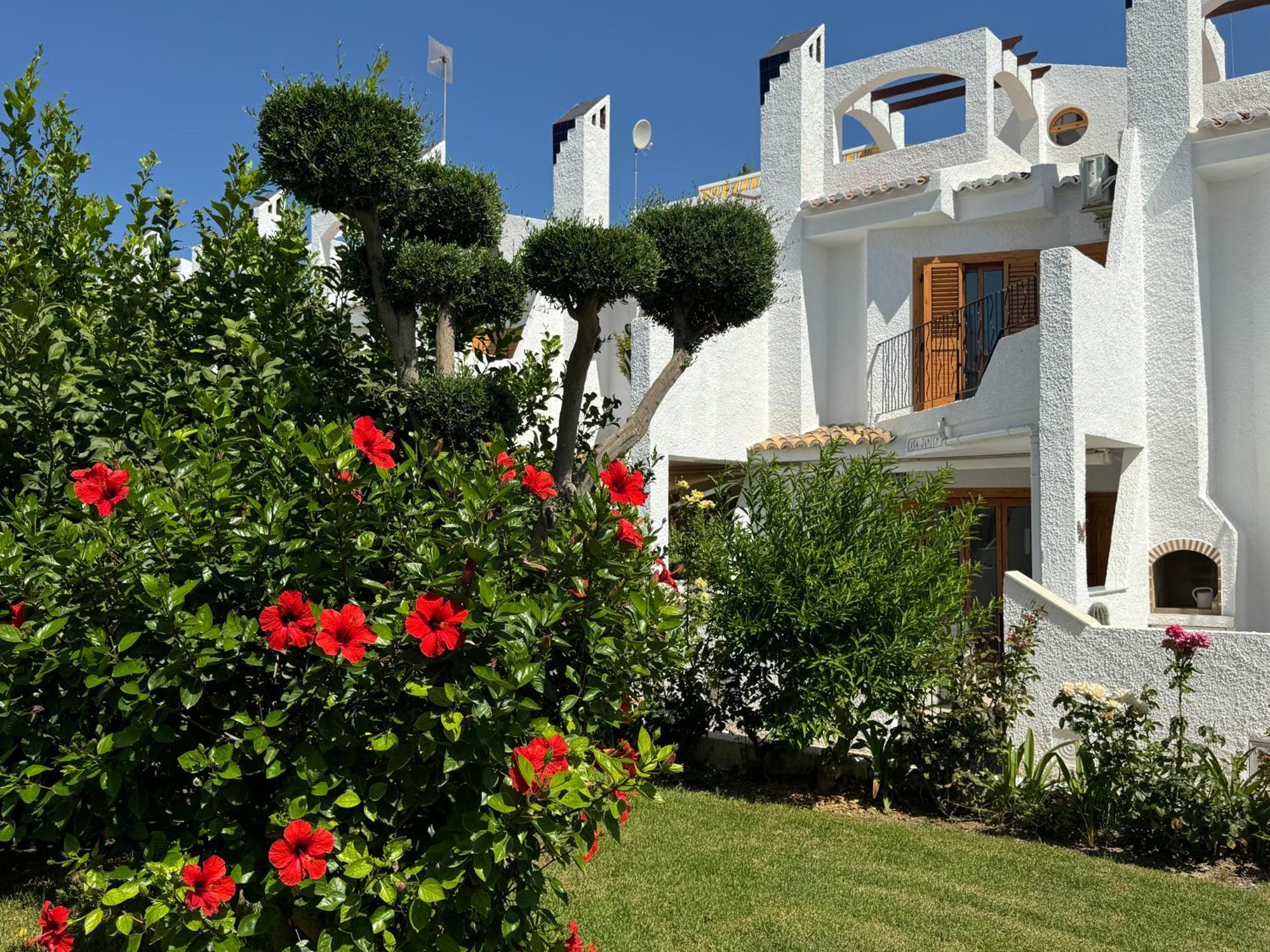 فيلا Contemporary House In Cabo Roig أوريويلا المظهر الخارجي الصورة
