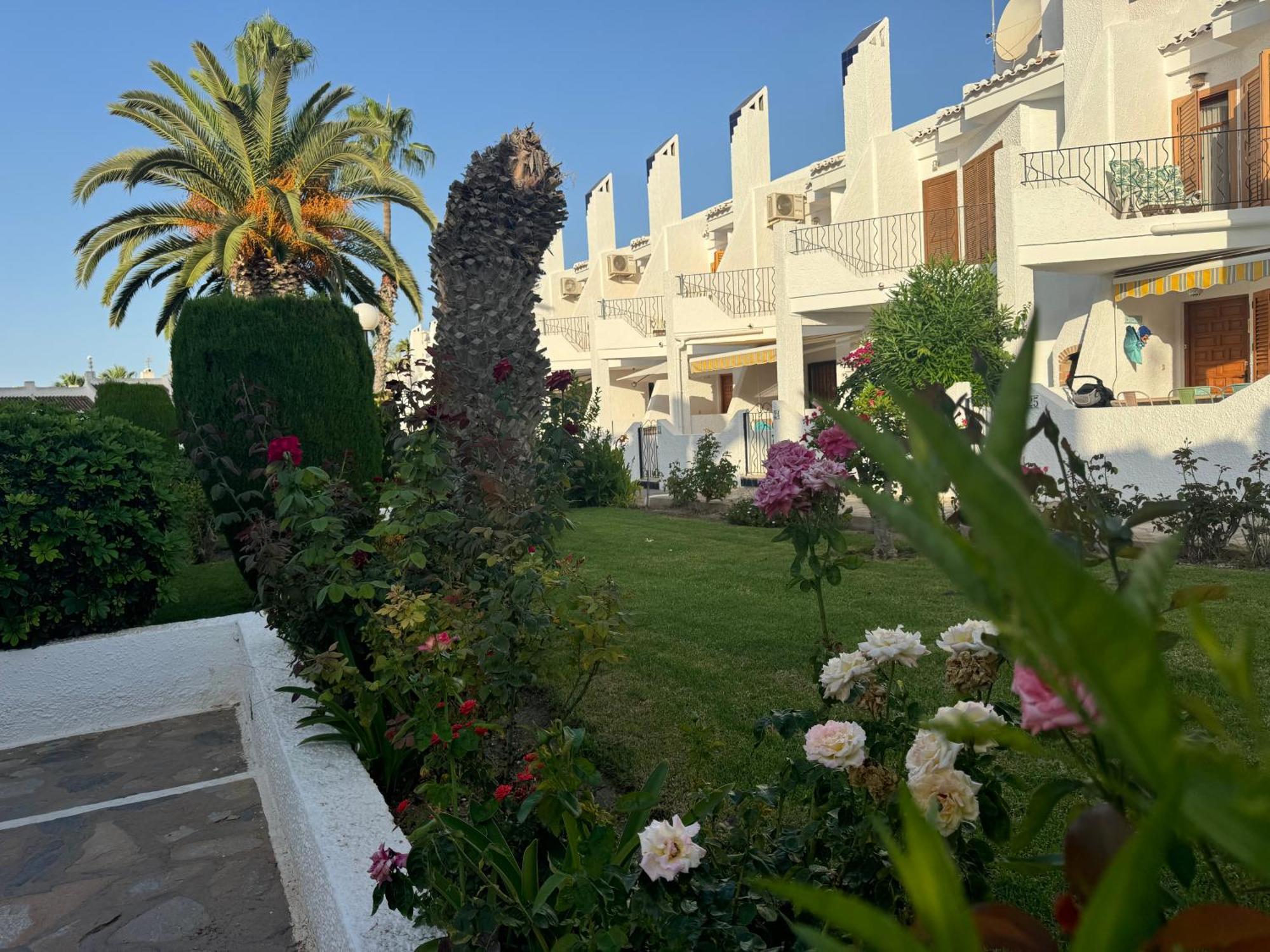 فيلا Contemporary House In Cabo Roig أوريويلا المظهر الخارجي الصورة
