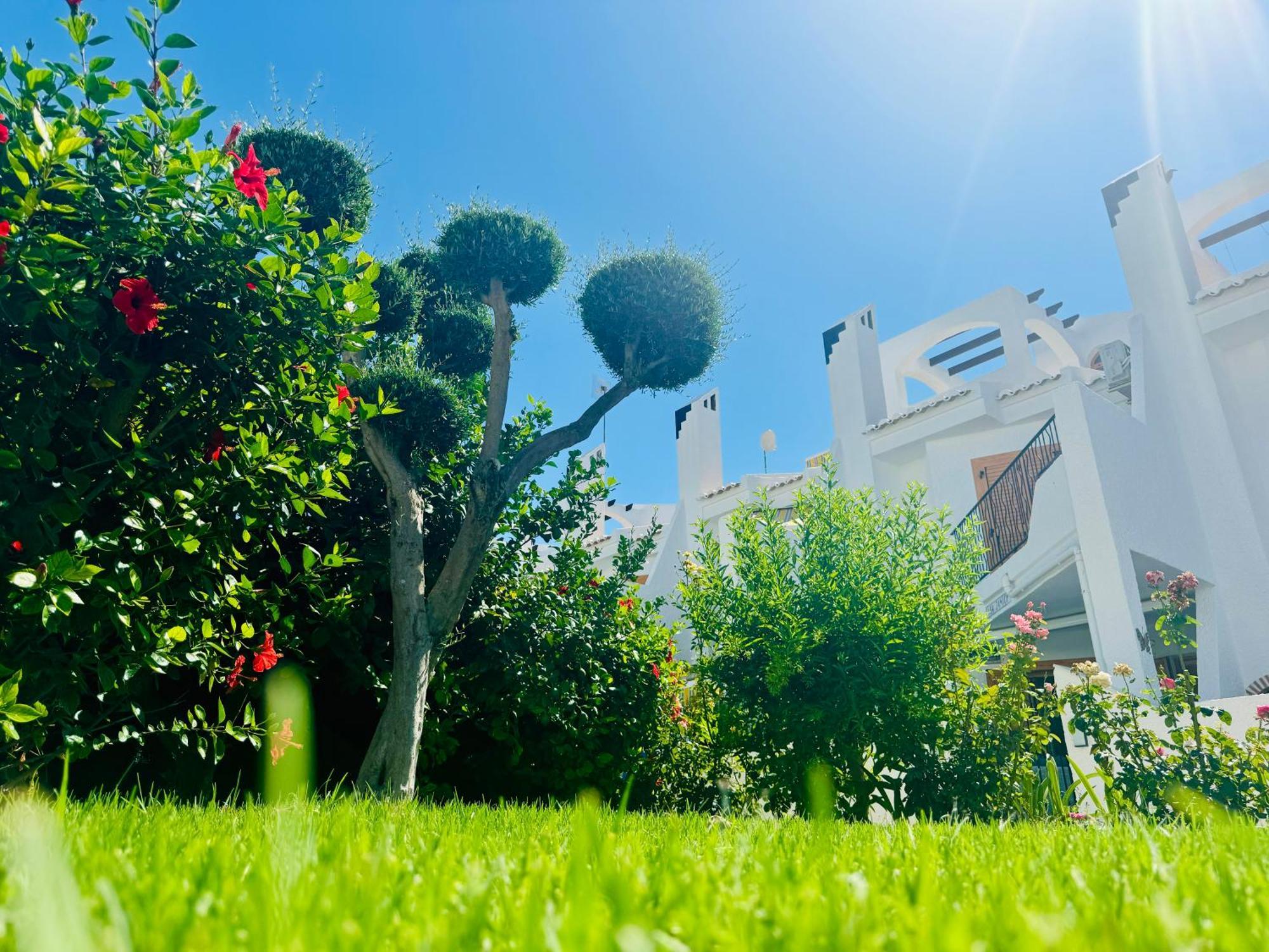 فيلا Contemporary House In Cabo Roig أوريويلا المظهر الخارجي الصورة